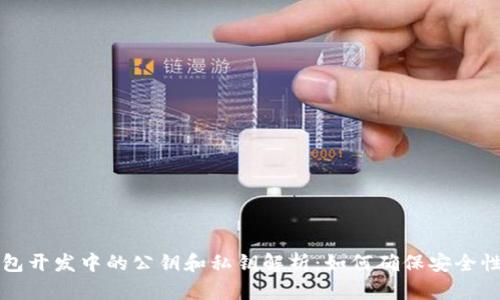 区块链钱包开发中的公钥和私钥解析：如何确保安全性与可用性