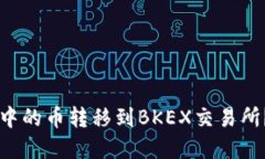 如何将tpWallet中的币转移到BKEX交易所？操作指南