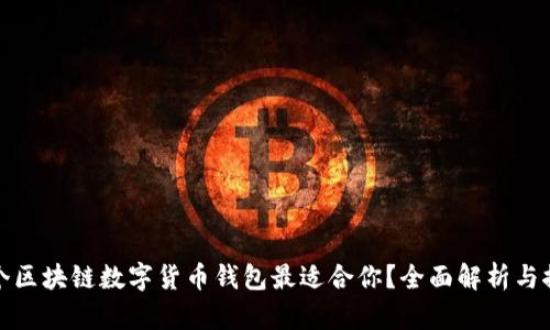 哪个区块链数字货币钱包最适合你？全面解析与推荐