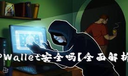 USDT提到TPWallet安全吗？全面解析及用户指南