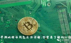 早期比特币钱包文件详解：你需要了解的一切