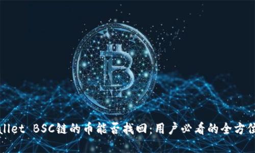 tpWallet BSC链的币能否找回：用户必看的全方位指南