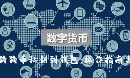 如何导入狗狗币私钥到钱包：操作指南与注意事项