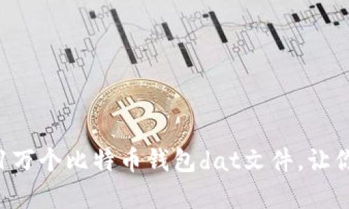 如何安全管理与使用1万个比特币钱包dat文件，让你的数字资产更有保障