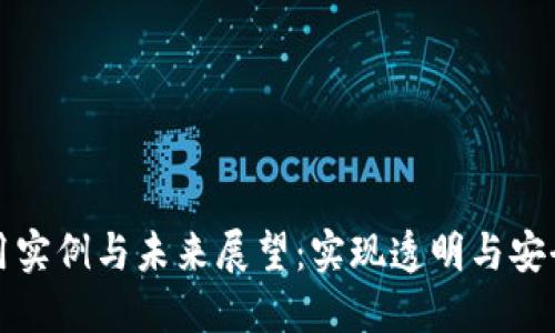 区块链的应用实例与未来展望：实现透明与安全的数字经济