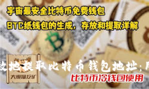 如何安全高效地提取比特币钱包地址：用户必备指南
