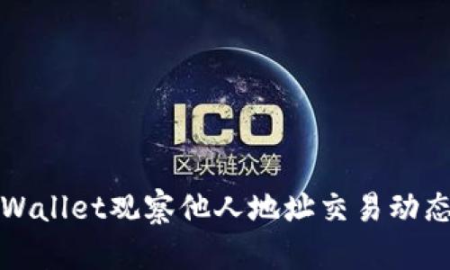 如何使用tpWallet观察他人地址交易动态与余额信息