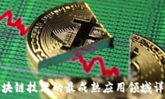   区块链技术的最成熟应用