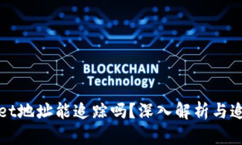 tpWallet地址能追踪吗？深入解析与追踪技术