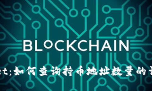 tpWallet：如何查询持币地址数量的详细指南