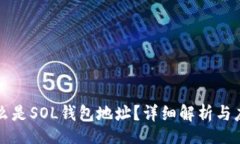 div什么是SOL钱包地址？详细解析与应用