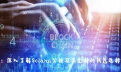 : 深入了解Solana公链及其支