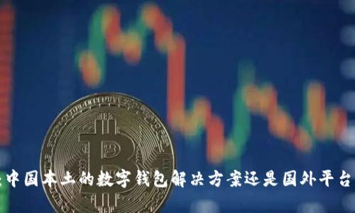 tpWallet：中国本土的数字钱包解决方案还是国外平台？一探究竟