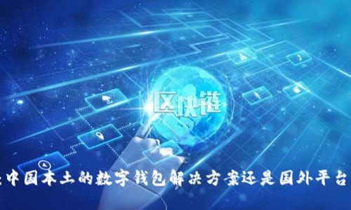 tpWallet：中国本土的数字钱包解决方案还是国外平台？一探究竟