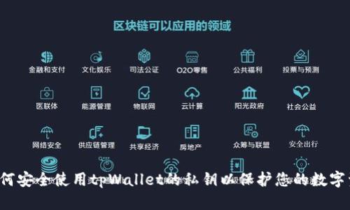  如何安全使用tpWallet的私钥以保护您的数字资产