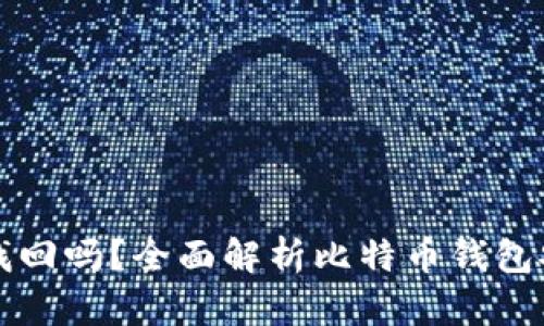 比特币钱包密码能找回吗？全面解析比特币钱包安全与密码恢复方法